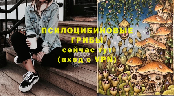 PSILOCYBIN Беломорск