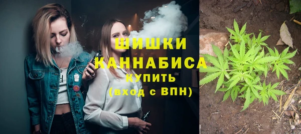 PSILOCYBIN Беломорск