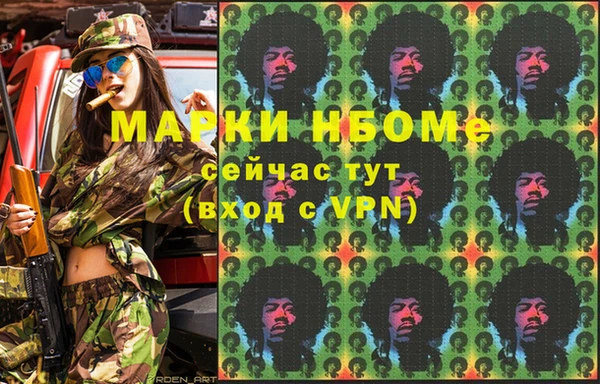 шишки Белоозёрский